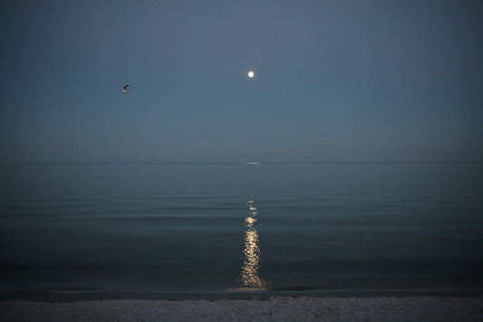 M88.M150 – The Blue Mood Moon at the Annual Summer Beach Party Featuring Seagull & Family of Distant Ducks in the Southern Province of Scania